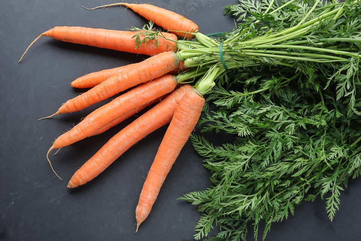 Fresh carrots with greens
