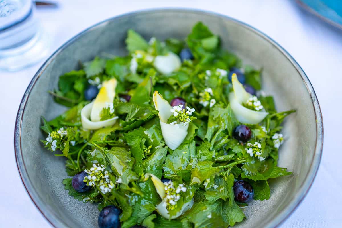 Garlic Mustard Salad