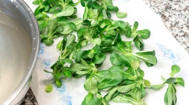 Clean and wash the lamb's lettuce