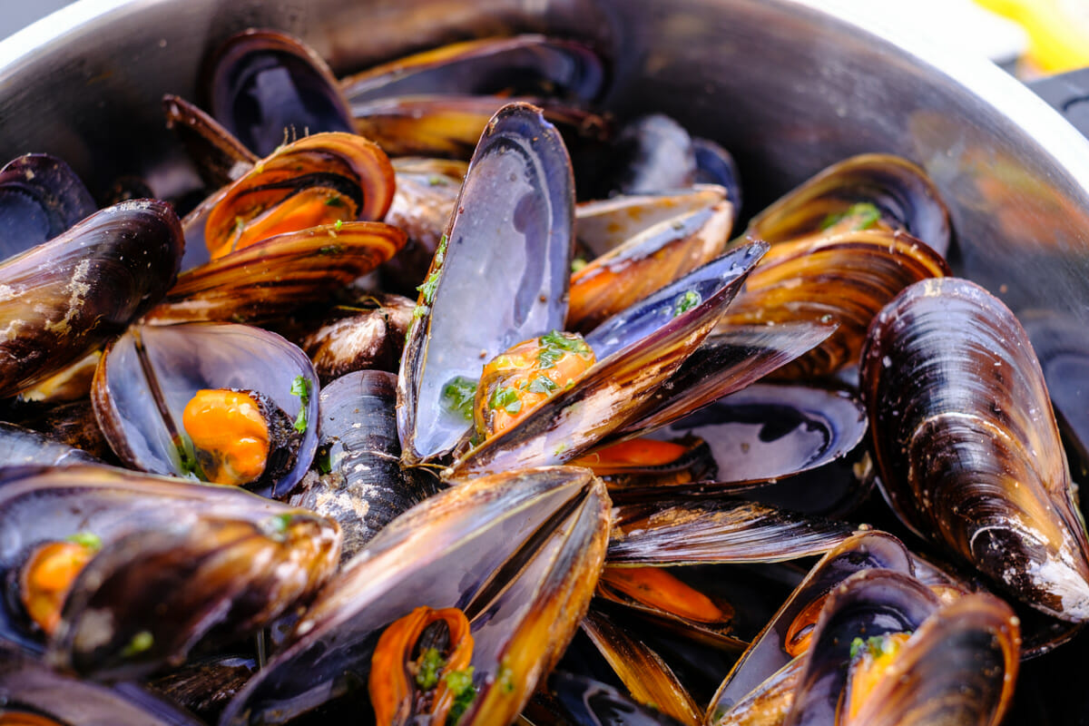 Mussels emotion picture