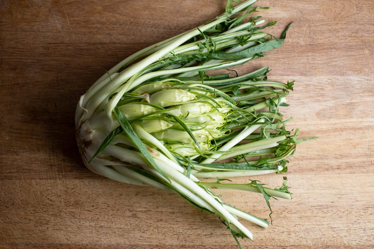 Puntarelle on the cutting board